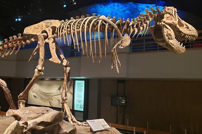 1 Day Drumheller Private Group Custom Tour: Calgary to Badlands - Why this Calgary to Drumheller day feels like a best-of