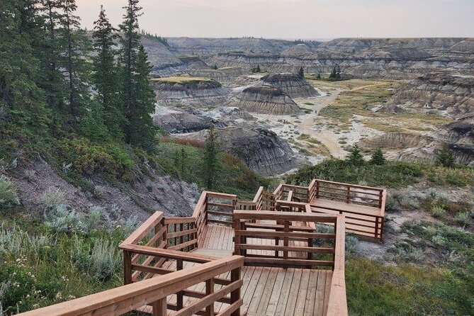 1 Day Drumheller Private Group Custom Tour: Calgary to Badlands - Who this private tour is best for