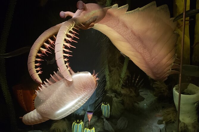 1 Day Guided Drumheller Tour: Calgary to Dinosaur Badlands - Key things you should know before you go