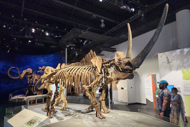 1 Day Guided Drumheller Tour: Calgary to Dinosaur Badlands - Horsethief Canyon in summer, and Horseshoe Canyon all year