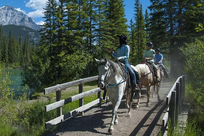 1 Hour Bow River Ride - Your Horse and the Guides: What Really Affects the Experience