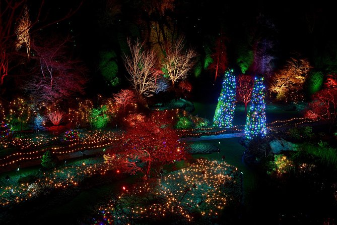 1 hour City Tour & Butchart Gardens: Christmas - Entry included! - Key things I’d zero in on