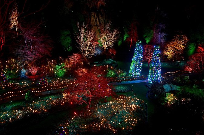 1 hour City Tour & Butchart Gardens: Christmas - Entry included! - Why the guide and narration are a real part of the value