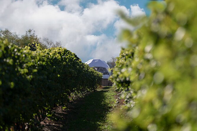 1 Hour Private Vineyard Dome Experience in Niagara-on-the-Lake - Charcuterie board pairings: what’s included and how it balances the hour