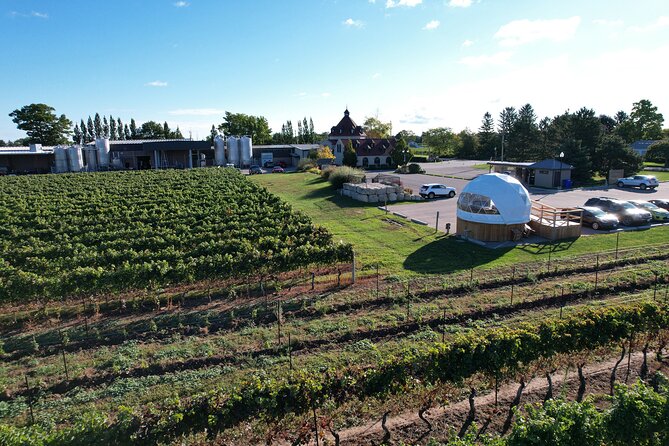 1 Hour Private Vineyard Dome Experience in Niagara-on-the-Lake - Value check: is $45.06 worth it for wine and charcuterie in a dome?