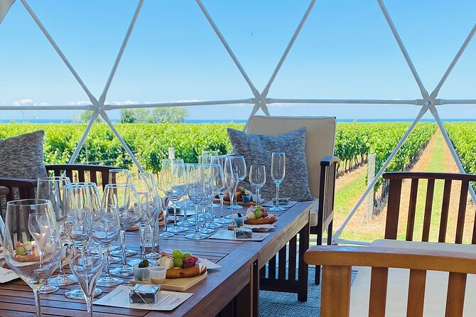 1 Hour Private Vineyard Dome Experience in Niagara-on-the-Lake - The dome experience: raised platform views over vineyards and Lake Ontario