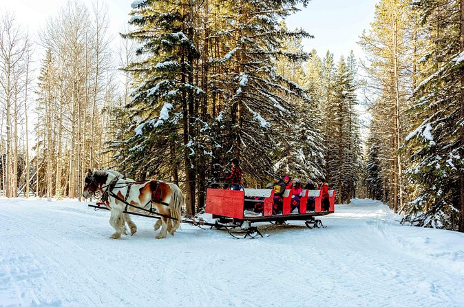 1 Hour Shared Winter Sleigh Ride Experience in Kananaskis - Teepee Village When Conditions Let It Happen