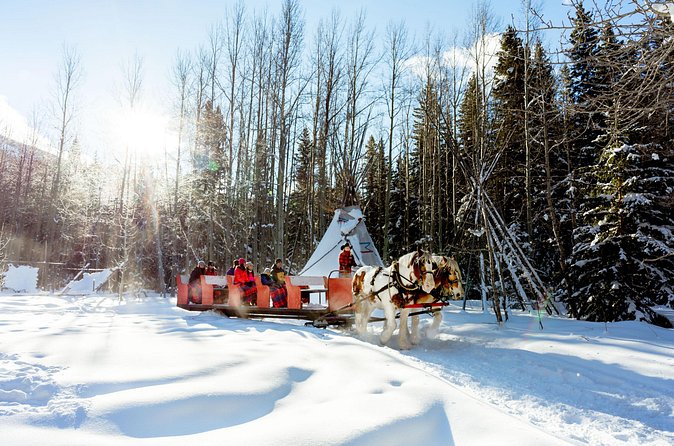 1 Hour Shared Winter Sleigh Ride Experience in Kananaskis - Stop 2: Canmore and the Scenic Route Break
