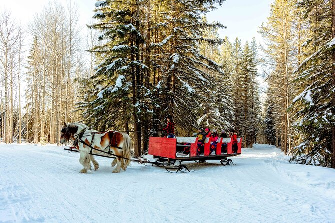 1 Hour Shared Winter Sleigh Ride Experience in Kananaskis - Boundary Ranch Basics and What to Bring