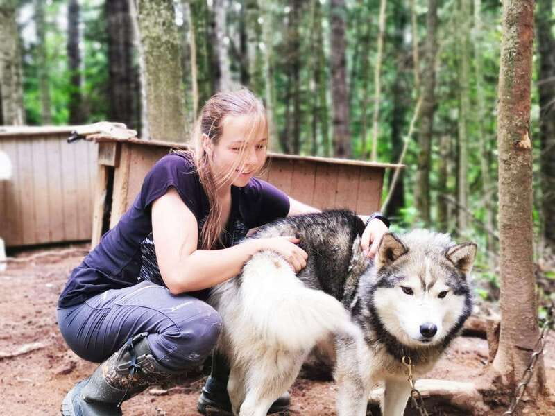 15 min. Tadoussac : Behind-the-Scenes Sled Dog Kennel Tour - Key things that make this tour worth your time