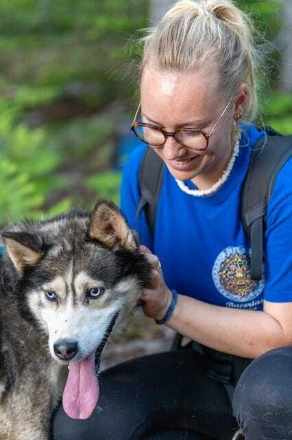 15 min. Tadoussac : Behind-the-Scenes Sled Dog Kennel Tour - Timing tips so you enjoy the full 90 minutes