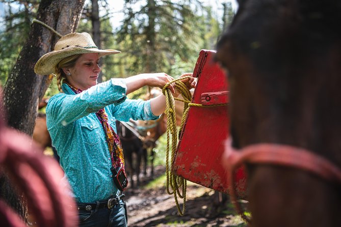 2-Day Sundance Overnight Backcountry Lodge Trip by Horseback - Should you book the 2-Day Sundance Overnight Backcountry Lodge Trip?