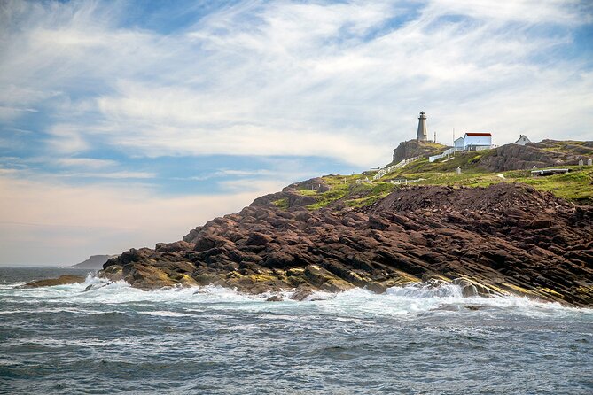 2 Hour Award-Winning Whale and Seabird Boat Tour from St. John's - Stop 1: St. John’s harbour, skyline, and The Narrows from the water
