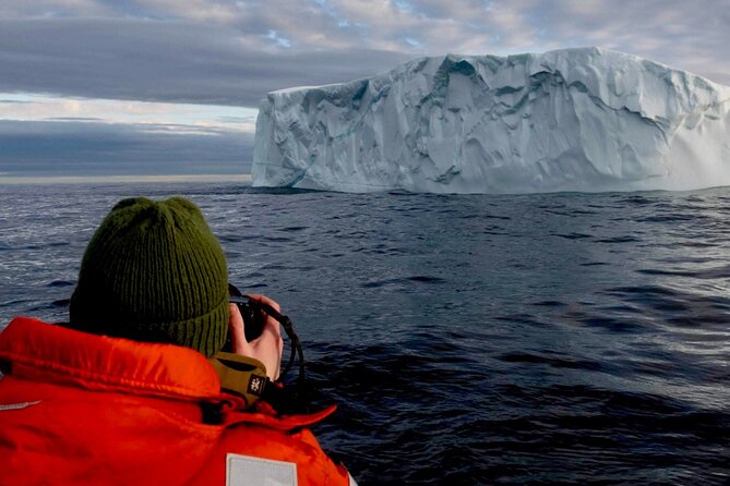 2 Hour Award-Winning Whale and Seabird Boat Tour from St. John's - Price and what you actually get for $112.65