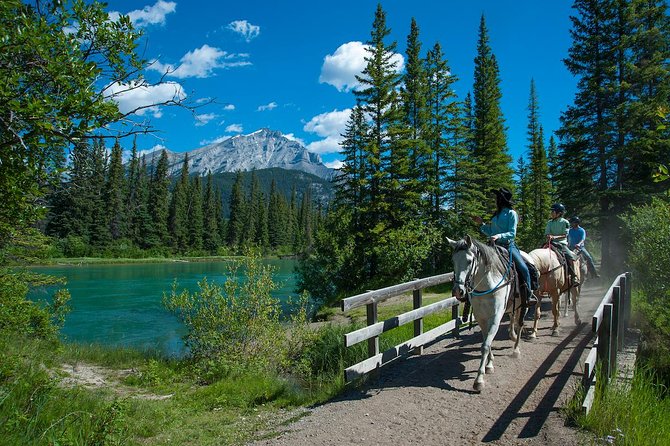 2 Hour Banff Horseback Riding Adventure - Horse comfort, soreness, and after-ride tips
