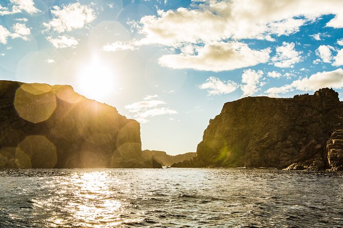 2 Hour Boat Tour in Twillingate - On-board comfort: heated cabin, bar, and what to wear