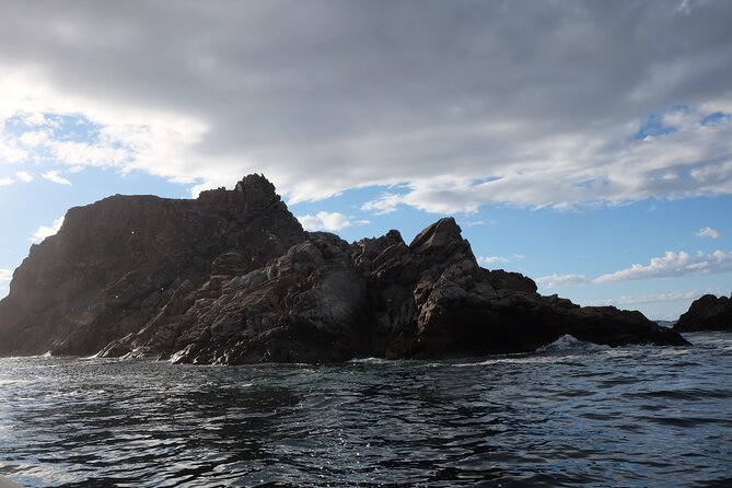 2 Hour Boat Tour in Twillingate - Weather reality: when fog and rough seas change the day