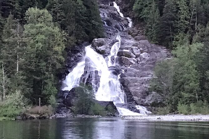 2 Hour Chartered Boat Tour from Deep Cove North Vancouver - Wildlife spotting without stress: seals, birds, deer, and rare surprises