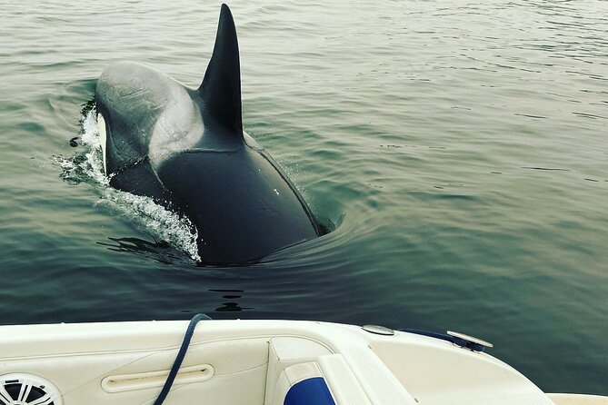 2 Hour Chartered Boat Tour from Deep Cove North Vancouver - Captain Michael Griffiths: the human reason it scores 5 out of 5