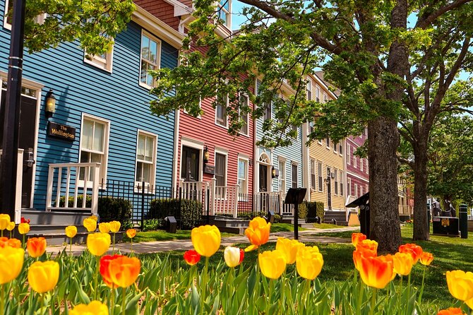 2 Hour E-bike tour of Charlottetown - Key Points That Matter Before You Book