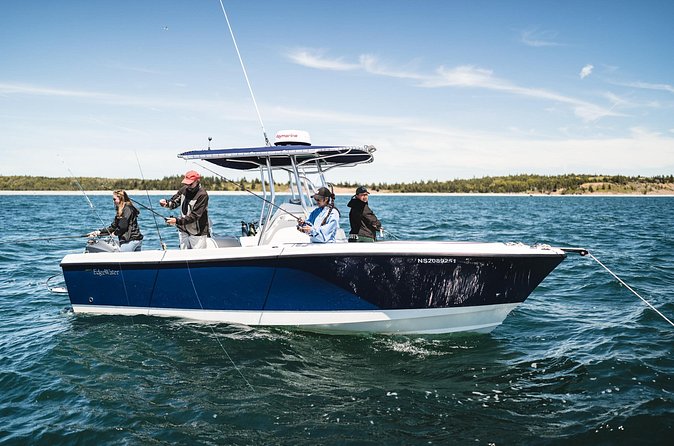 2 Hour Fishing Experience in Halifax - The fishing part: cod, mackerel, pollock, and more