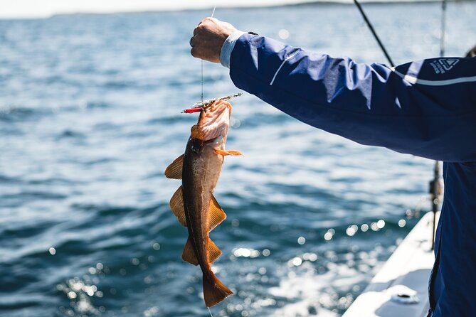 2 Hour Fishing Experience in Halifax - Small-group coaching: why you feel in the loop