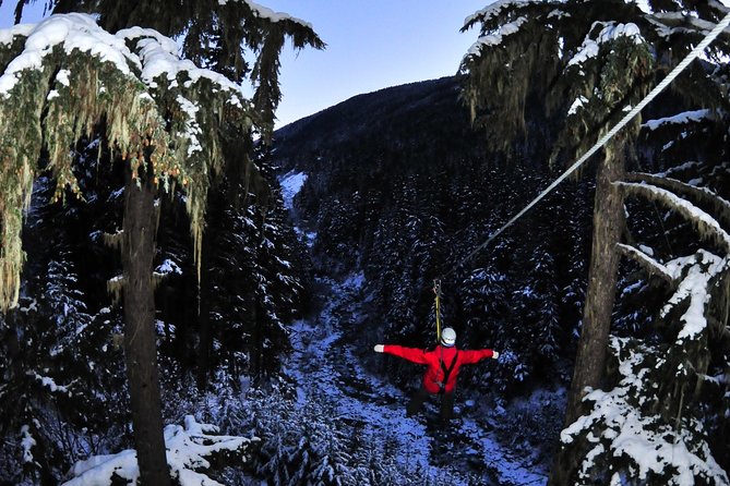 2 Hour Late Afternoon Winter Zipline Adventure - The 4 Ziplines: What You Actually Get for Your Time