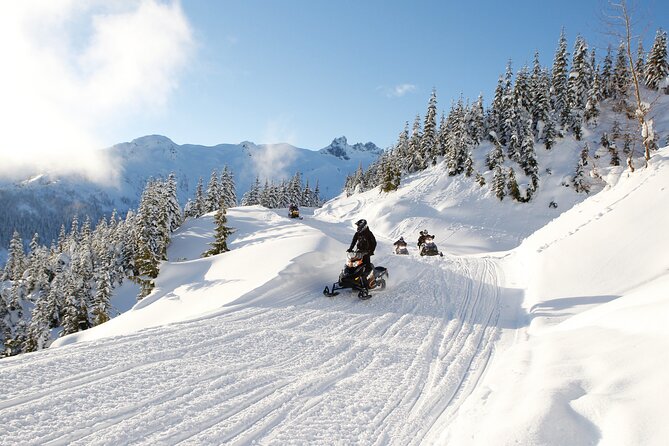 2 Hour Wilderness Adventure Snowmobile Tour in Whistler - Key things you should know before you book