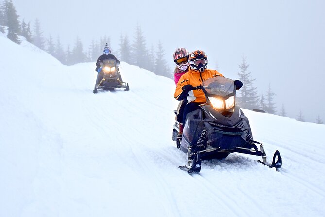 2 Hour Wilderness Adventure Snowmobile Tour in Whistler - Check-in at Blackcomb Dogsled Base to start with the right gear