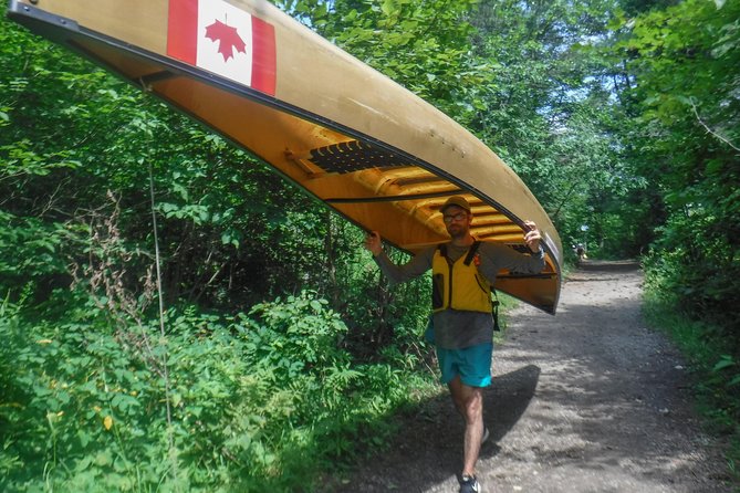 3 Day Algonquin Park Canoe Trip - Moose & Beaver Safari - Gear Is Included, but Bugs and Small Personal Items Are Still Your Job