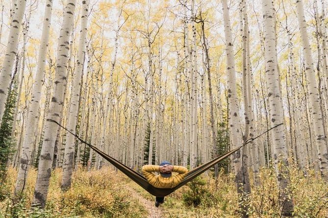 3-Day Authentic Jasper National Park Packaged Tour - Who This Tour Suits Best, and Who Should Rethink It