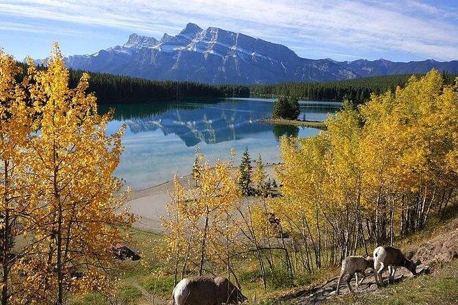 3-Day Rockies Express Tour Package: Banff, Lake Louise and Yoho - Calgary arrival day: your first dose of Rockies energy