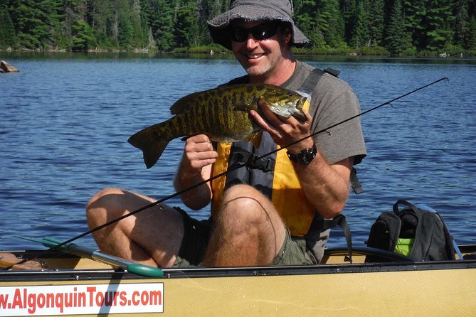 3 Hour Algonquin Park Bass & Trout Fishing (private- price is for 1 or 2 people) - What happens during the 3-hour fishing window