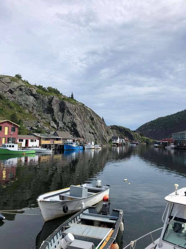 3 hour City Tour of St. John's, small group up to ten quests - Pickup and Small-Group Comfort (Up to Ten)