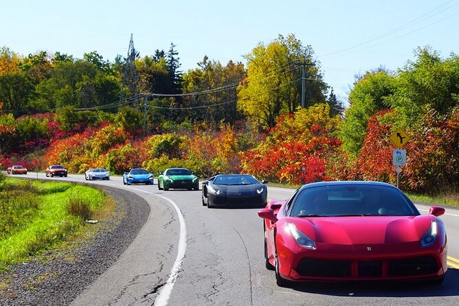 3 Hour Exotic car Tour driving 4 to 5 Super cars - The Ivy Lane Estate Setup and Why It Improves the Whole Day
