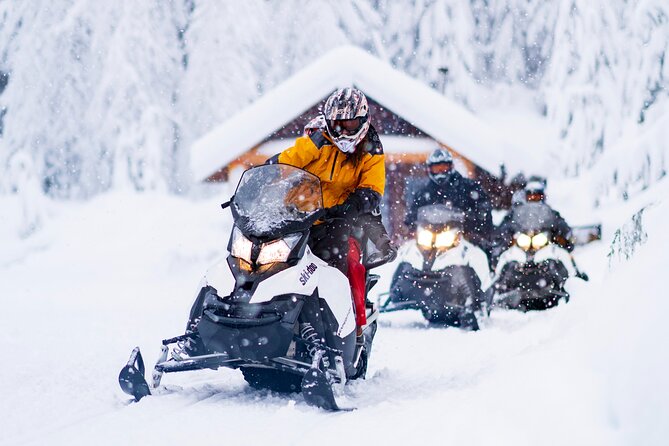 3 Hour Wilderness Adventure Tour in Whistler - Key things to know before you go