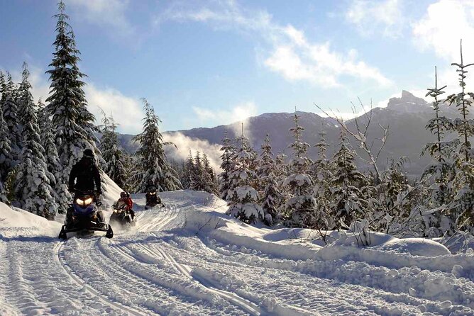 3 Hour Wilderness Adventure Tour in Whistler - Getting to the base: where the day starts and ends