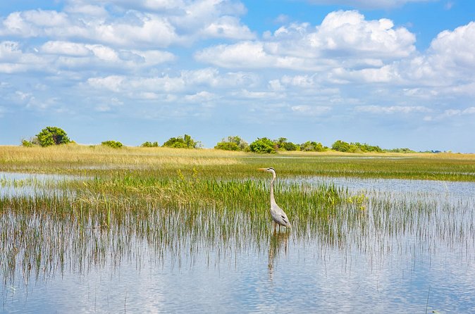 3h Boat Safari - Montreal’s Nature and Iconic Attractions Tour - Timing, weather, and the optional swim plan