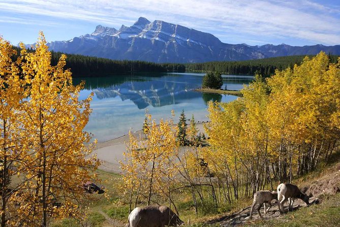 4-Day Banff, Lake Louise, Jasper, Icefield Packaged Tour - Calgary Pickup, Group Size, and The Real Logistics Behind Comfort