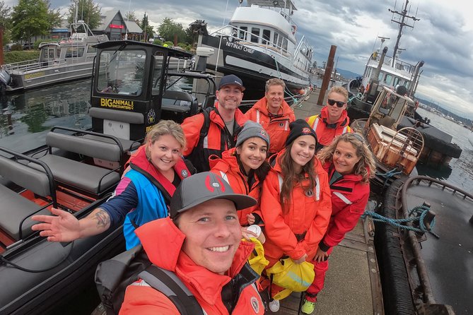 4 Hour Morning Whale Watching Tour - A Realistic Breakdown of the 4-Hour On-the-Water Itinerary