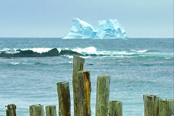 4 Hour St John’s Tour w Come From Away star (lunch included) - Pickup Anywhere in St. John’s, and Why It Changes Your Day