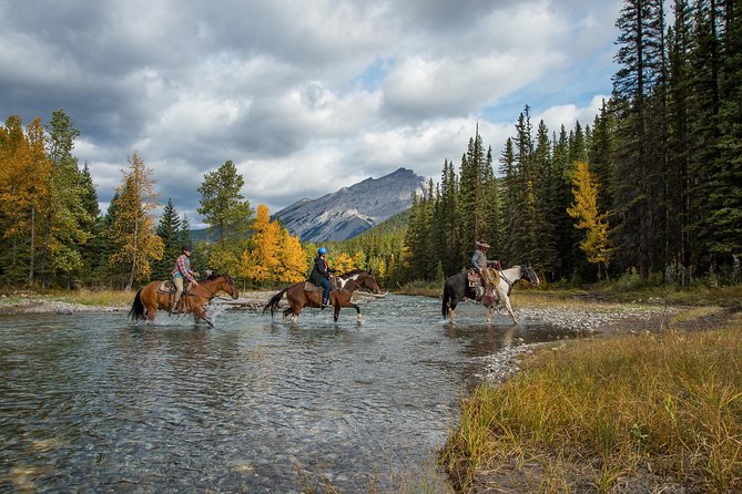 4 Hour Sulphur Mountain Horseback Ride - Price and value: is $253.36 per person worth a 4-hour ride