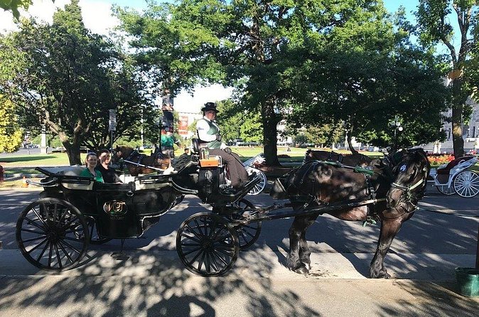 45-Minute By The Park Tour - The Driver and the Horses: Why This Ride Feels Personal