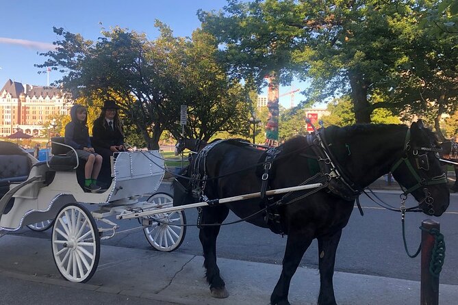 45-Minute By The Park Tour - Price and Value: Is $180.25 Worth It for a Group?