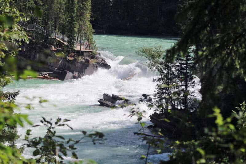 5-Hour Fraser River Rafting in Jasper National Park - Should you book this Jasper National Park rafting tour?