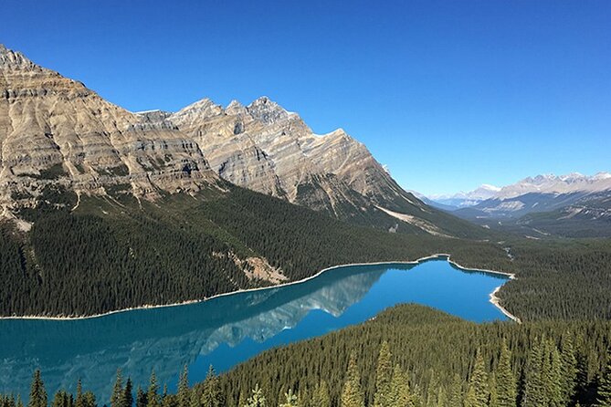 6-Day Rocky Mountaineer Train Tour, From Vancouver to Rockies - Icefield Parkway Day 5: Peyto, Bow Lake, and the Athabasca Glacier