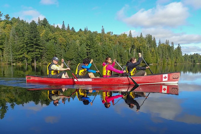 6 Hour Algonquin Park Canoe Trip - Key highlights you will feel fast