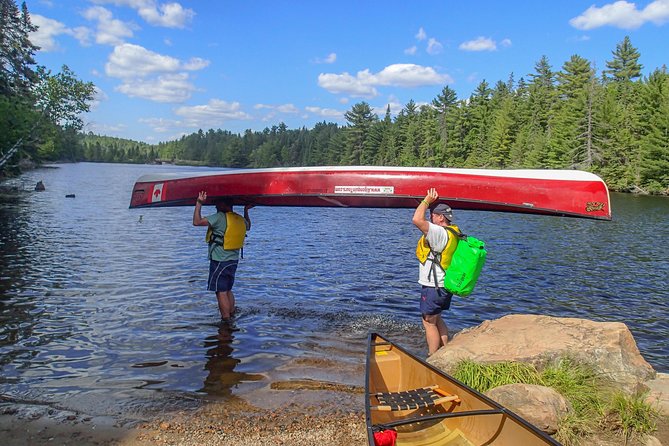 6 Hour Algonquin Park Canoe Trip - Lunch, wild edibles, swimming, and optional cliff jumping