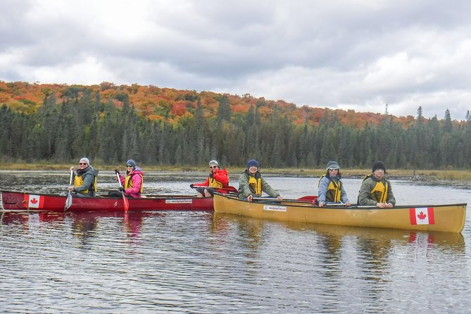 6 Hour Algonquin Park Canoe Trip - Paddling effort, safety rhythm, and how not to get wrecked