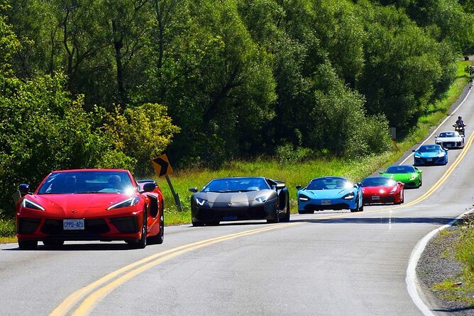 6 Hour Exotic Car Tour driving 6 Super cars + Lunch - Small-group limit and what it means for your day